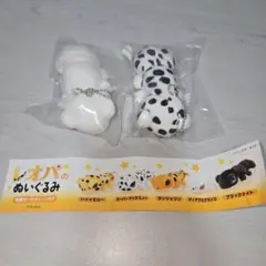 Item thumbnail for item 389fd035-27e4-4ee5-b2b3-75e9ec098235