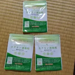 2026年最新】DMJカテキン減脂粒の人気アイテム - メルカリ