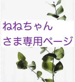 ねねちゃんさま専用ページ