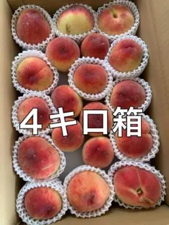桃　加工用 4キロ箱入り　　翌日午前中受取限定のサムネイル
