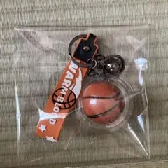 バスケットボール型キーホルダー WARM BLOOD