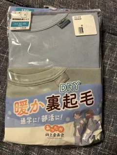 120サイズ 男児長袖シャツ 2枚セット