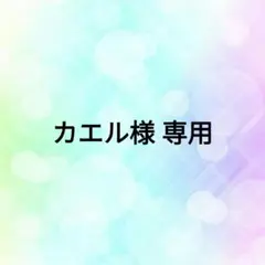 【カエル様 専用】リクエスト 5点 まとめ商品