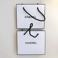 CHANEL ショップ袋 2枚セット