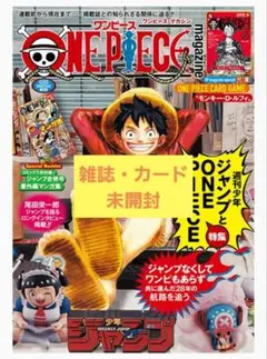 か*さ様 【新品未開封】 ワンピースマガジン第20号 ルフィプロモ(ST21-0