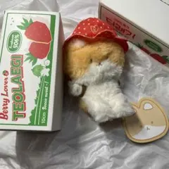 2025年最新】exo ぬいぐるみ公式ベッキョンの人気アイテム