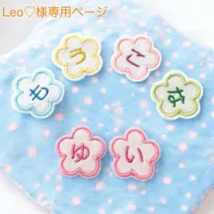 Leo様 専用ページ