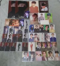 SEVENTEEN ディノ まとめ売り