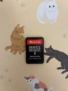 BRAVELY DEFAULT II Nintendo Switch ソフト