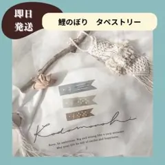 Item thumbnail for item cead6490-59cd-481f-b043-d0d6393b9f01