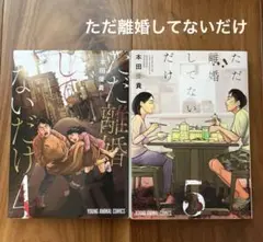 ただ離婚してないだけ 4巻５巻　2冊セット　最終巻　漫画