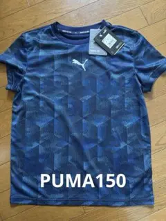 PUMA 速乾Tシャツ　ブルー　新品