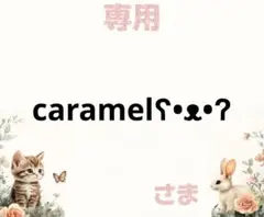 専用