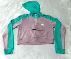 アディダス ハーフジップフーディ