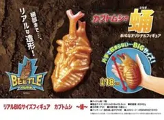 リアルBIGサイズフィギュア カブトムシ 〜蛹〜 - メルカリ