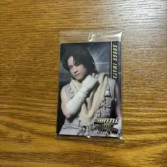 THE RAMPAGE BOTツインウエハース岩谷翔吾フォトカード