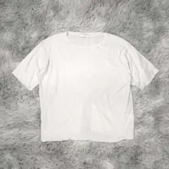 ANAYI レディース 半袖ニット M 白 ホワイト 薄手 ラメ スパンコール