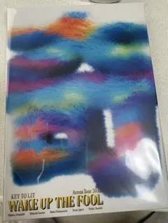KEY TO LIT WAKE UP THE FOOL DVD - メルカリ