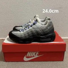 【海外限定・レア】NIKE AIR MAX 95 CD1529-001