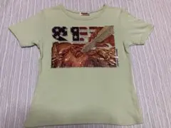 雰囲気抜群❗️】90's HYSTERIC GLAMOUR 総柄 チビT Y2K - メルカリ