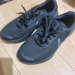 NIKE ナイキ ウィメンズレボリューション 24cm