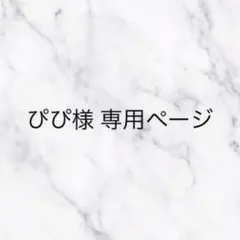 ぴぴ様専用ページ
