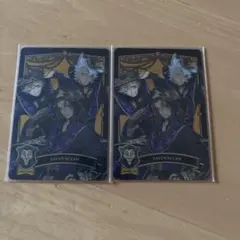 サバナクロー寮 メタルカード 2枚セット