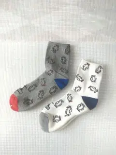 チャムスレディース ソックスセット