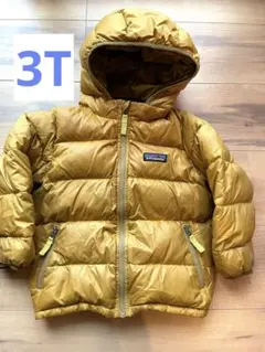 Patagonia フード付きダウンジャケット