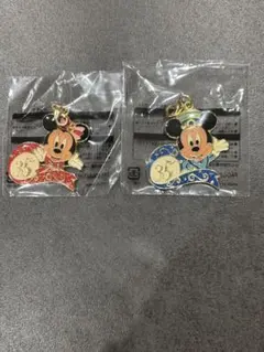 ミッキー・ミニー　35周年記念ピンバッジ　2個セット❣️