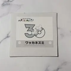 ポケモン キミにあえた！ ステッカー ワッカネズミのサムネイル