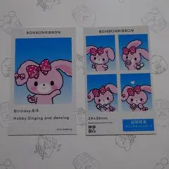 証明写真風スマロイド　ぼんぼんりぼん