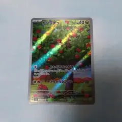 カジッチュ AR SV5a 077/066