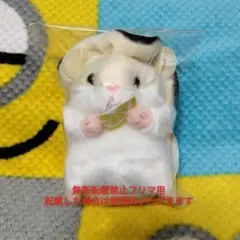 Item thumbnail for item 761f9ed7-15ea-475e-8912-ed25314fce77