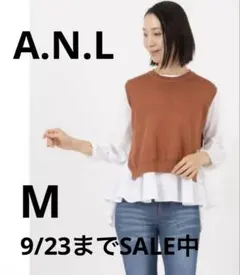 A.N.L フレアブラウス×ニットベスト セット