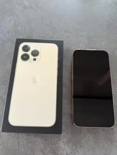 【Mamamam 様専用】iPhone13Pro 256GB