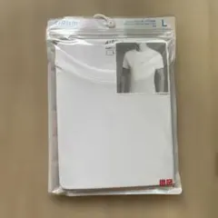 Item thumbnail for item 5884a502-e5bb-47bc-9889-2c4f12275557