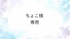 ちょこ様 リクエスト 3点 まとめ商品