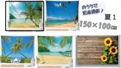 夏①】うちフォト　壁　記念　人気　海　犬　ベビー　背景布　サマー　写真撮影　自宅のサムネイル