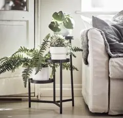 プラントスタンド