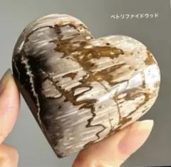 高品質　ペトリファイドウッド　大きめハート　握り石　珪化木