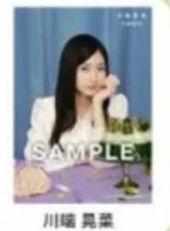 Item thumbnail for item e1a0d482-e1a3-42bf-9d27-37e257f518a6