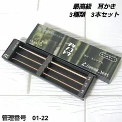 Item thumbnail for item 1a3ac3d1-d9d1-49f2-a5fb-cafaed90ea3b