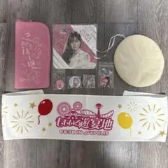 2025年最新】ももクロ ペンライトケースの人気アイテム - メルカリ