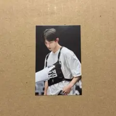 FOLLOW FELLOW エコバッグ トレカ ドギョム  SEVENTEEN