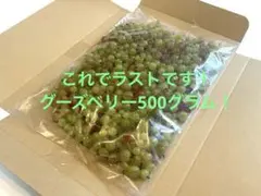 ☆1名様限定！☆グーズベリー☆スグリ☆500グラム☆完全無農薬☆信州産♫☆のサムネイル
