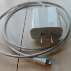 Apple純正 20W USB-C充電器 Lightningケーブルセット