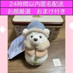 ④ダッフィー ぬいぐるみチャーム　シークレット・オブ・スノーウィーデイ