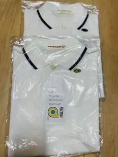 Item thumbnail for item 582722ff-b09d-4fcd-9f6a-0d321cab3230