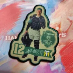 非売品】阪神タイガース 村上頌樹 STADIUM HEROES DAYワッペン - メルカリ